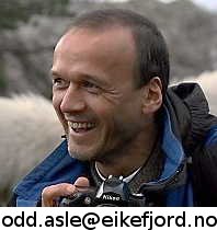 Odd Asle Endestad
